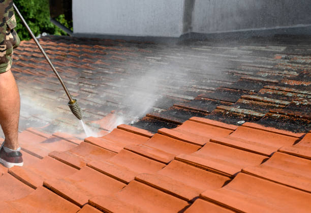 Best Roof Power Washing Services  in Pineville, LA